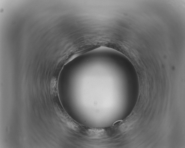 X0000086900480200704231158