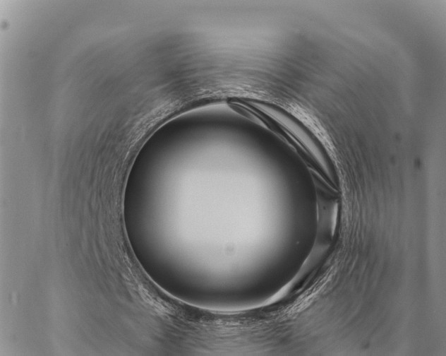 X0000086900481200704231157