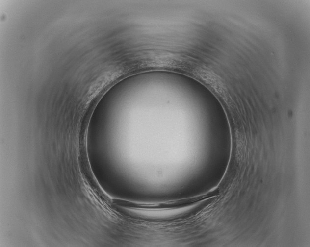 X0000086900482200704231157