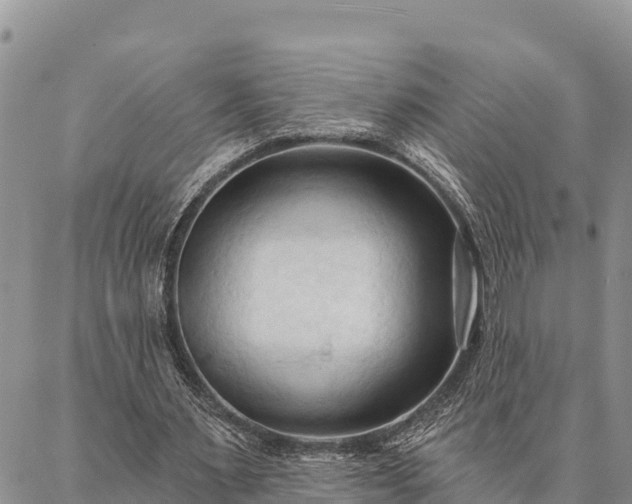 X0000086900483200704231157