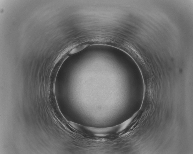 X0000086900484200704231157