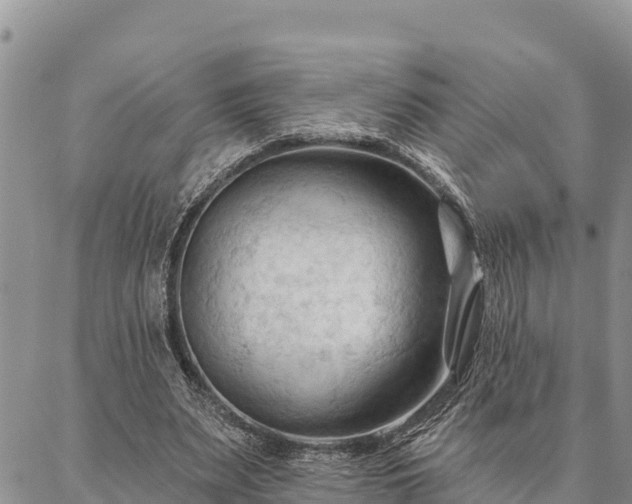 X0000086900487200704231157