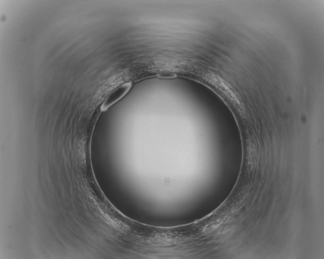 X0000086900489200704231157