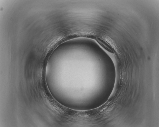 X0000086900491200704231157