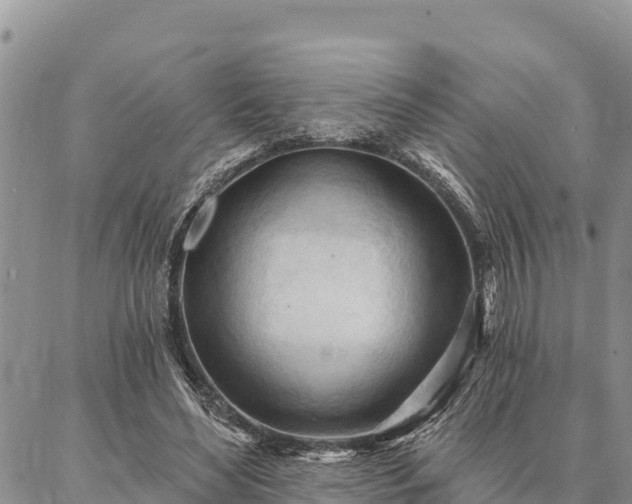 X0000086900492200704231157