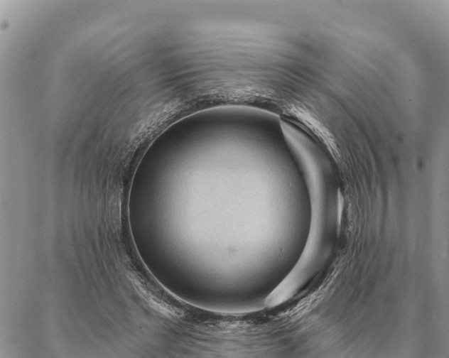 X0000086900493200704231157