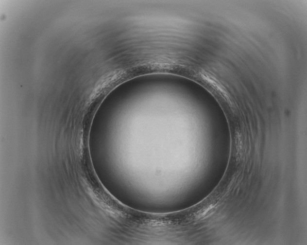 X0000086900494200704231157