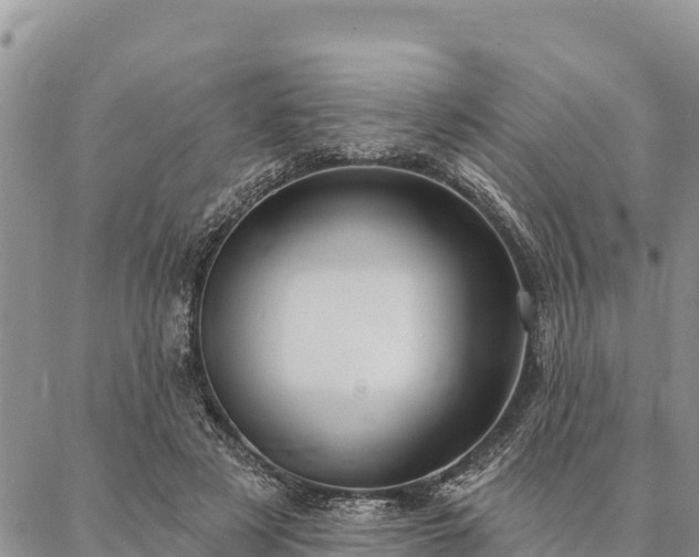 X0000086900497200704231157