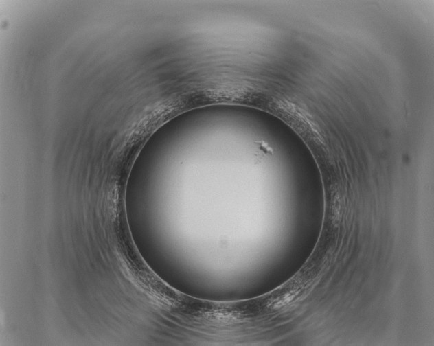 X0000086900498200704231157