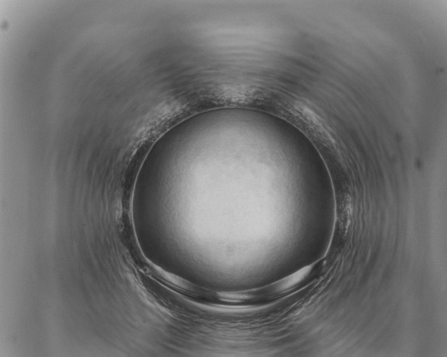 X0000086900500200704231157