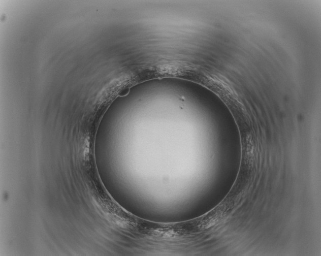 X0000086900502200704231157