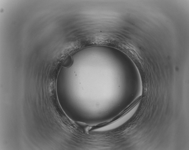 X0000086900503200704231157