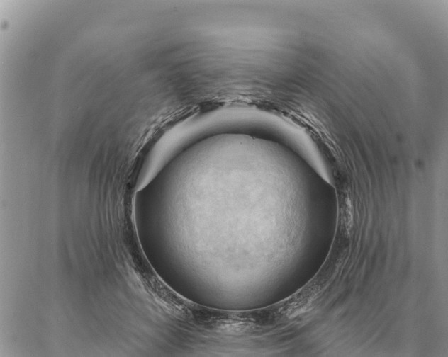 X0000086900504200704231157