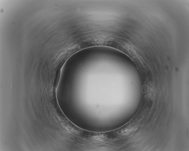 X0000086900505200704231157