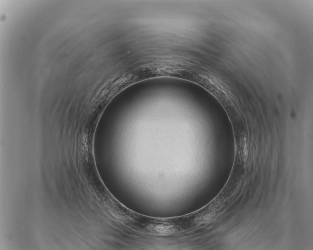 X0000086900506200704231157