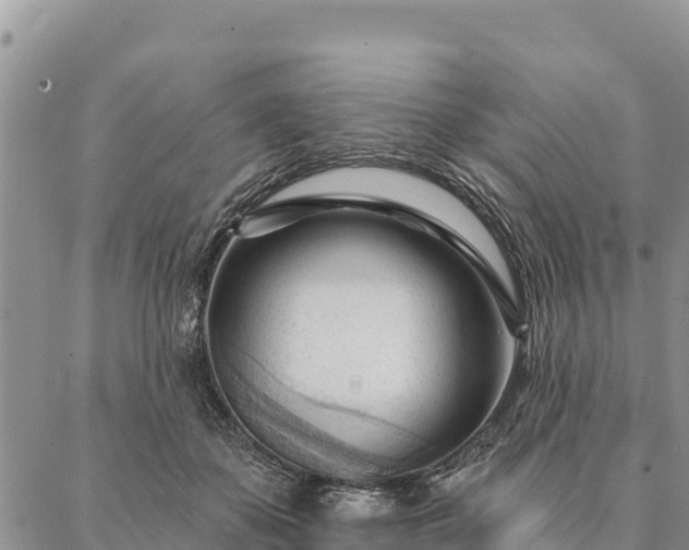 X0000086900507200704231156