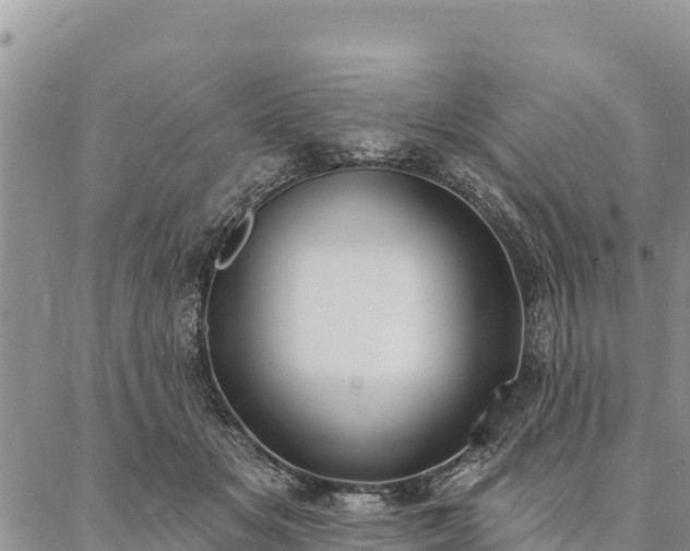 X0000086900509200704231156