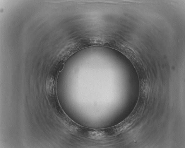 X0000086900511200704231156