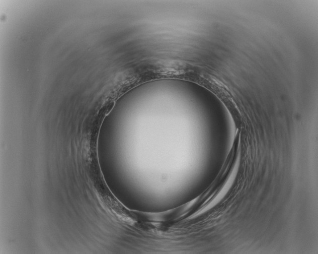 X0000086900512200704231156