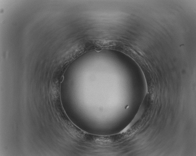 X0000086900515200704231156