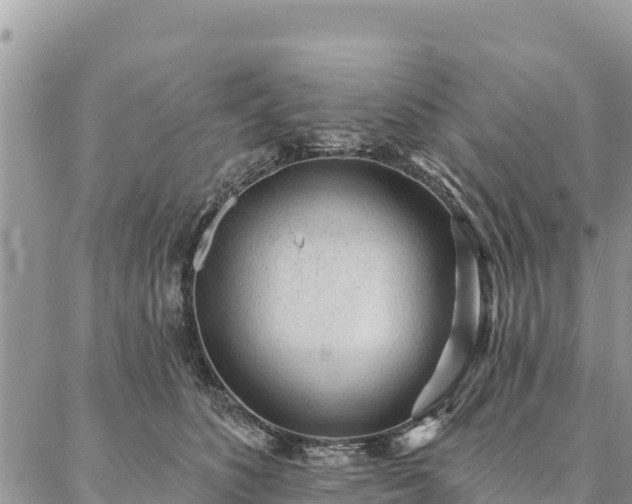 X0000086900516200704231156