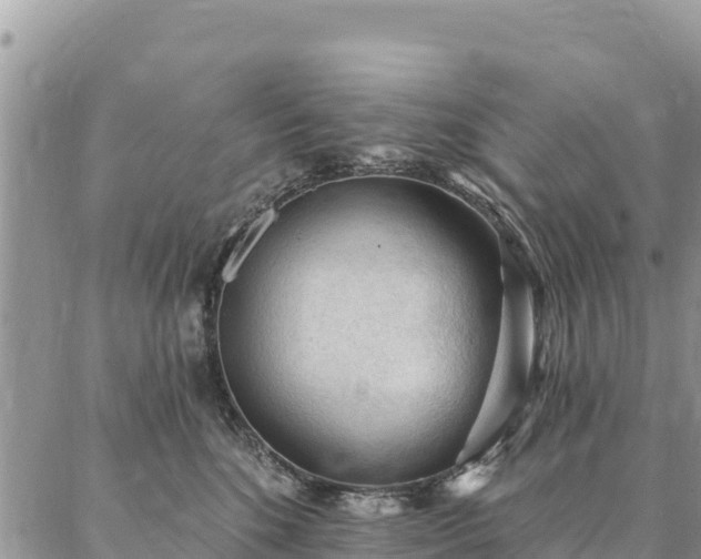 X0000086900520200704231156