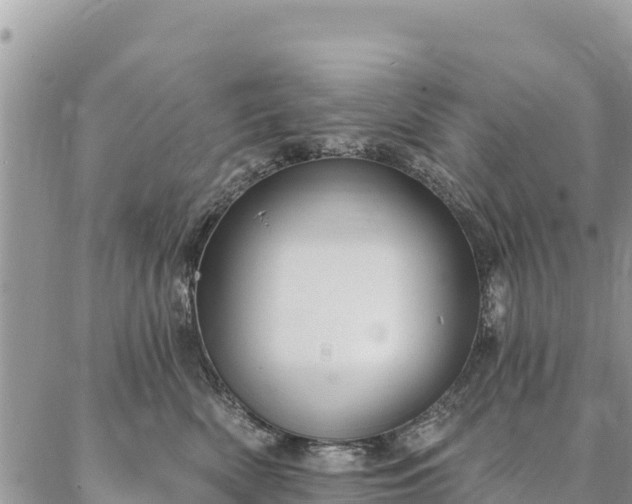 X0000086900522200704231156