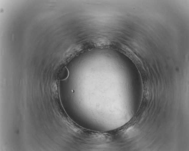 X0000086900523200704231156