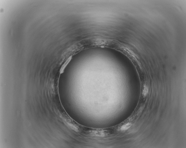 X0000086900524200704231156