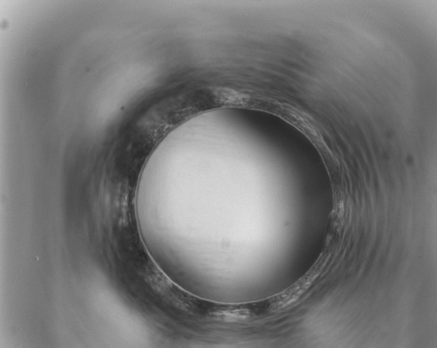 X0000086900525200704231156