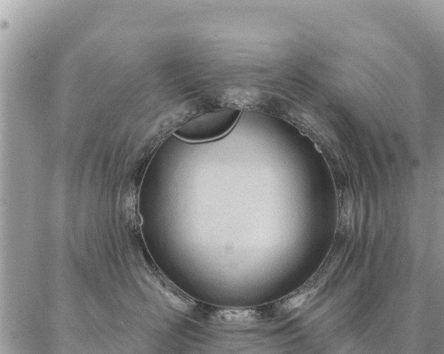 X0000086900526200704231156