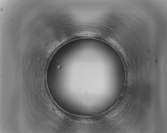 X0000086900529200704231155