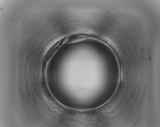 X0000086900531200704231155