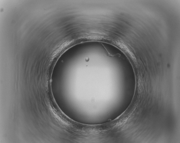 X0000086900533200704231155