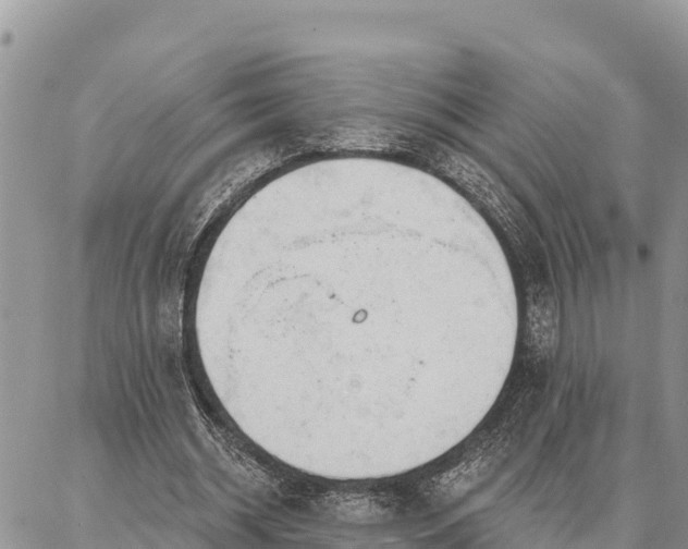 X0000086900534200704231155