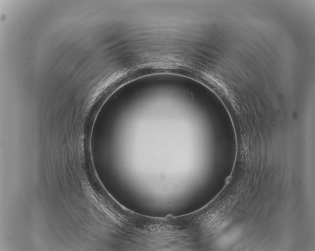 X0000086900535200704231155