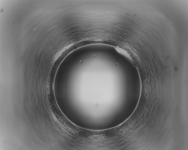 X0000086900536200704231155