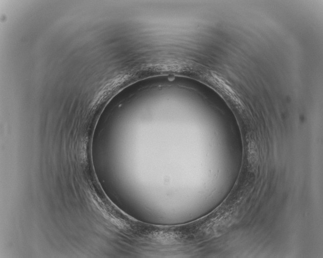 X0000086900537200704231155