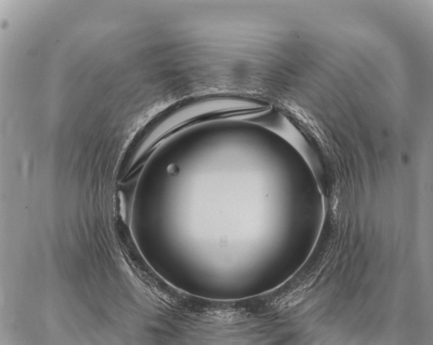 X0000086900540200704231156