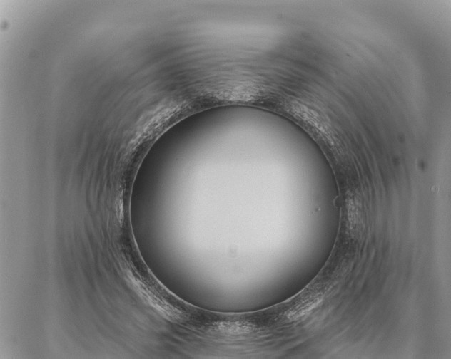 X0000086900541200704231156