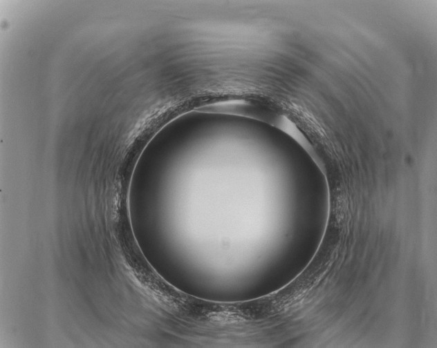 X0000086900544200704231156