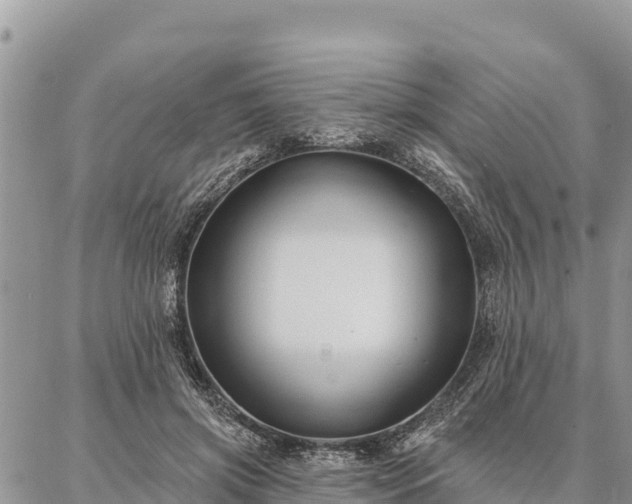 X0000086900549200704231156