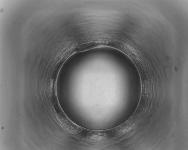 X0000086900550200704231156