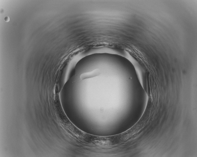 X0000086900552200704231156