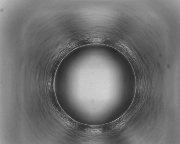 X0000086900553200704231156