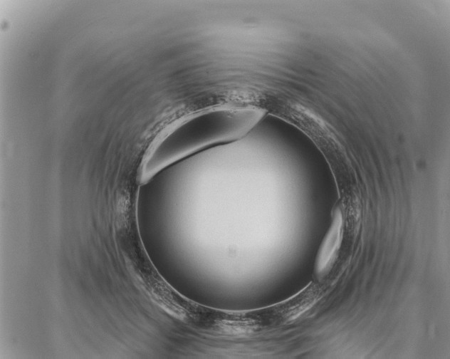 X0000086900556200704231156