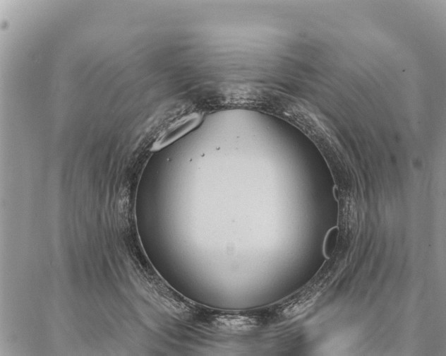 X0000086900557200704231156