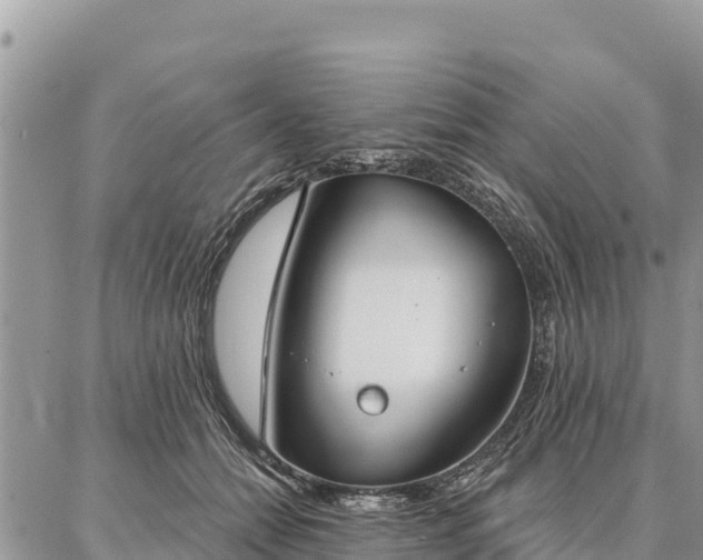 X0000086900558200704231156