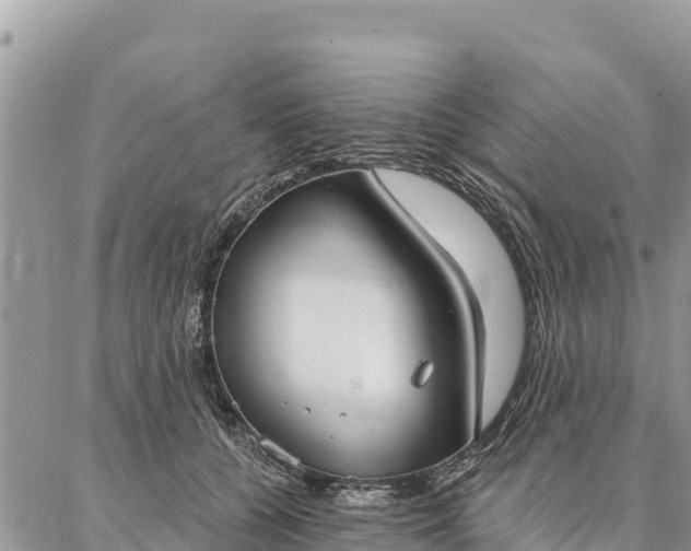 X0000086900560200704231156