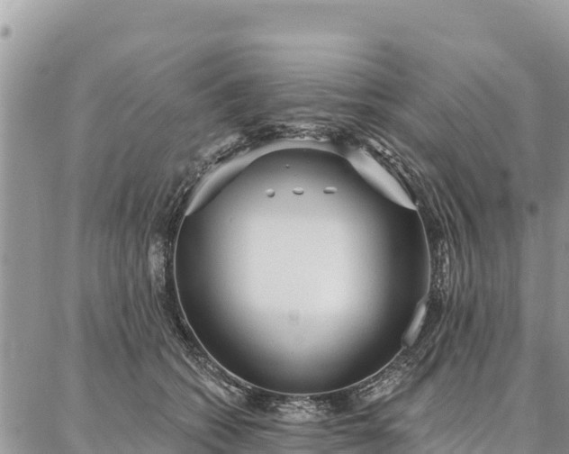 X0000086900562200704231156